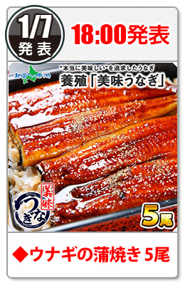 ◆うなぎの蒲焼き５尾